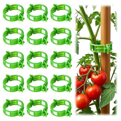 100Pcs Tomato Clips for Climbing Plants Trellis Plant Support Clips - color: Green