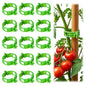 100Pcs Tomato Clips for Climbing Plants Trellis Plant Support Clips - color: Green