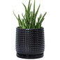 D'vine Dev Beaded Ceramic Pot with Saucer, 6 in, Glossy Black, 27-C-X-2 - color: Glossy Black, size: 5.8 Inch