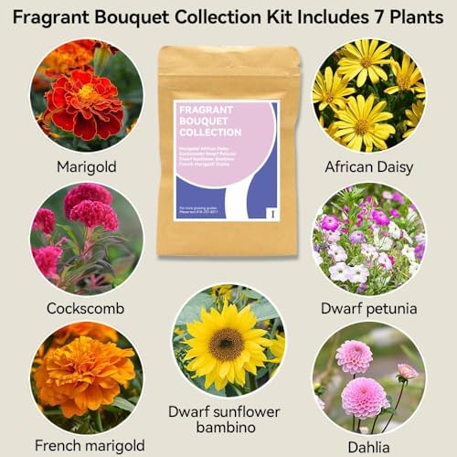 inbloom Fragrant Bouquet Seed Pod Kit for AeroGarden, iDoo, Ahopegarden, GARDENCUBE, 12 Pods (350+ Flower Seeds with Sunflower, Petunia, Mexican Marigold, Cockscomb, French Marigold, Dahlia) - color: Fragrant Bouquet