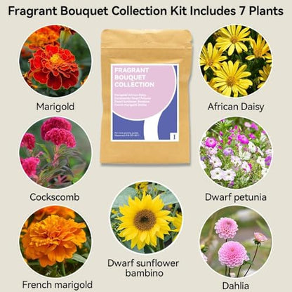 inbloom Fragrant Bouquet Seed Pod Kit for AeroGarden, iDoo, Ahopegarden, GARDENCUBE, 12 Pods (350+ Flower Seeds with Sunflower, Petunia, Mexican Marigold, Cockscomb, French Marigold, Dahlia) - color: Fragrant Bouquet