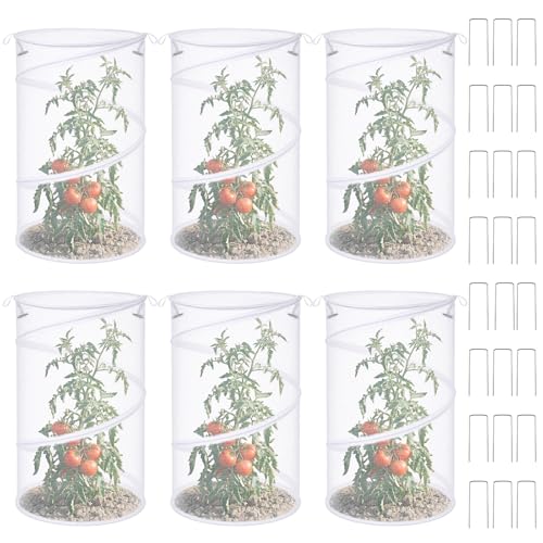 6 Pack Pop up Plant Covers 20"Hx12"D Insect Barrier Mesh Plant Cover