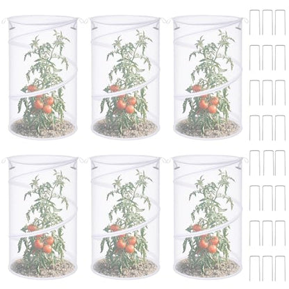 6 Pack Pop up Plant Covers 20"Hx12"D Insect Barrier Mesh Plant Cover