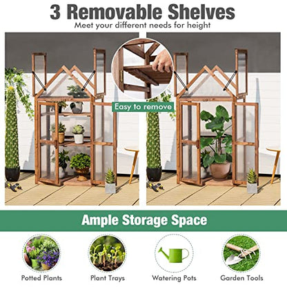 GRAFFY Wooden Cold Frame Greenhouse with 3 Removable Shelves for Outdoor
