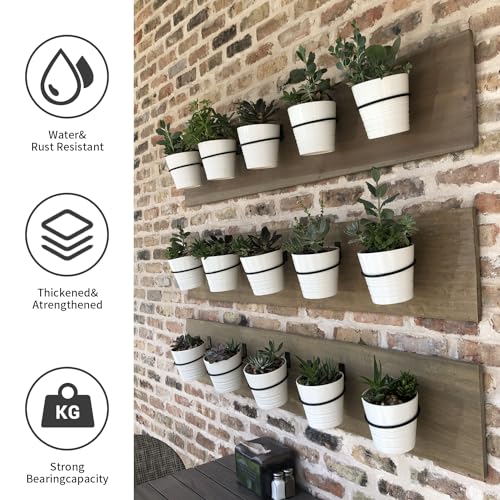 6 Pack 6 Inch Wall Plant Holder,Metal Plant Hanger Indoor,Wall Planters For Indoor Plants,Black - size: 6 inch-6Pack
