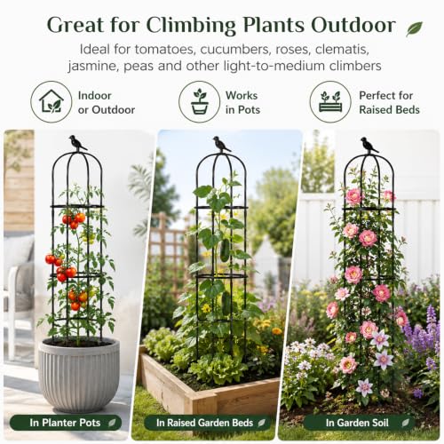 FOLLOOK Garden Obelisk Trellis for Climbing Plants Outdoor, 2 Pack - color: 67"-Black-2PK