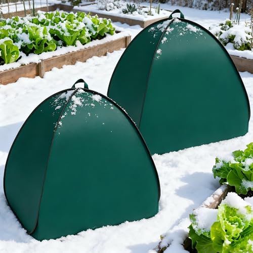 2 Pcs Pop Up Shrub Covers Frost Protection Tent, 38" x 36" x 36" Winter Plant Cover Freeze Protection, Warm Garden Plant Protector Tent for Protecting Outdoor Shrub Fruit Potted Plants from Snow & Ice - color: 36 x 36 x 38 inch