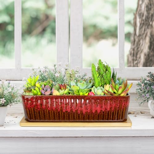 Succulent Pots, 12'' Long Rectangle Planters with Tray, Windowsill Planter - color: Red