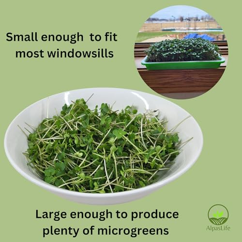 Microgreens Kit, Mister, 2 Sets of Trays, Coco Coir Discs, Organic Seeds - style: Coco Coir Kit