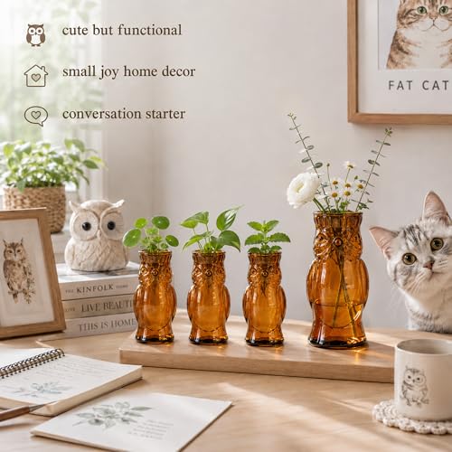 Nacome Owl Plant Propagation Station: Set of 4 Cute Brown Glass Vases - color: Brown