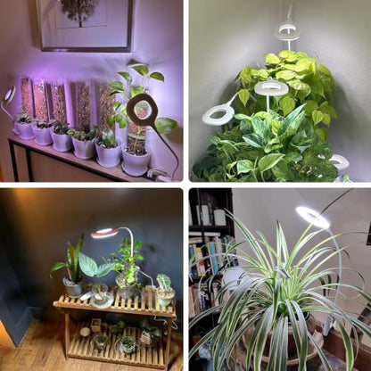 2 Packs Plant Lights for Indoor Growing, Clip on Grow Light - size: 2 Pack