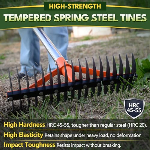62.5 Inch Thatch Rake for Lawns 18 Sharp Tempered Spring Steel Tines - style: Thatch Rake