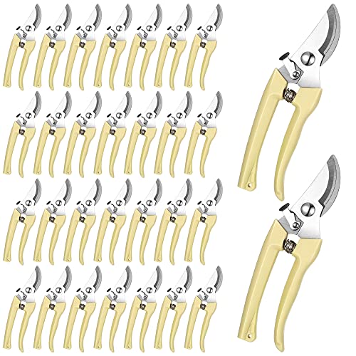 Chumia 30 Pack Garden Shears Flower Clippers for Plant Cutting, Beige - color: Beige