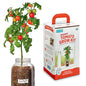 Back to the Roots Cherry Tomato Organic Windowsill Planter Kit - Grows Year Round, Includes Everything Needed For Planting - style: Tomato