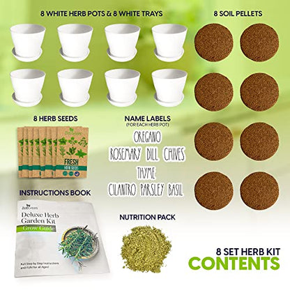 Herb Garden Starter Kit - 8 USA Culinary Herbs - color: 8 Herb