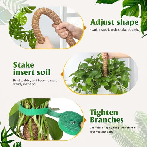 2 Pack 63" Bendable Moss Pole for Plants Monstera, Moss Poles for Climbing Plants Indoor, Coir Plant Pole Sticks Support Stakes for Potted Plant, Pothos, Philodendron Plants - size: 63"