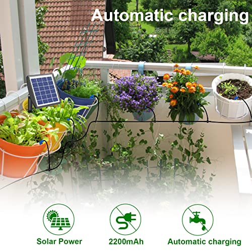 RISINGUP Solar Drip Irrigation System for 15 Potted Plants - size: 15 pots