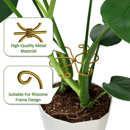 5PCS Plant Stem Support Rings for Monstera & Indoor Plants, 4.1 x 3.9 in Metal Plant Stem Holder