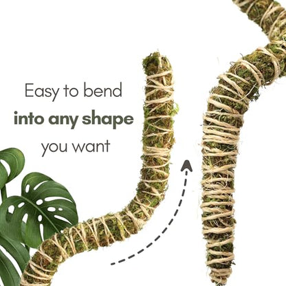 Mossify Bendable Moss Pole, 3 Pack, Assorted 16/30/42'', Forest Moss