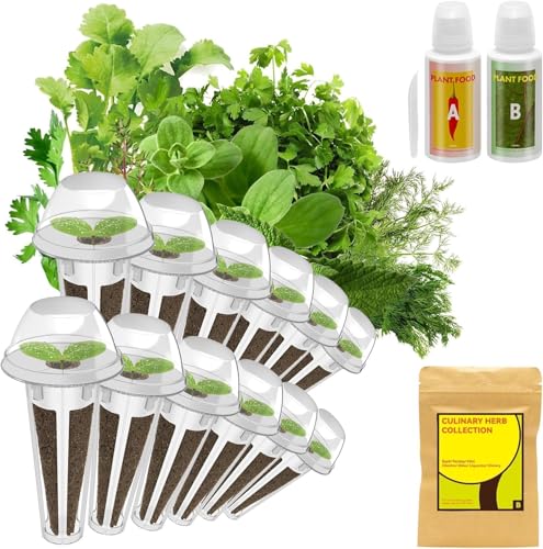 inbloom Culinary Herbs Seed Pod Kit for Hydroponics Growing System, 12 Pods (350+ Seeds with Basil, Parsley, Shis0, Liquorice, Mint, Cilantro, and Chic0ry) - color: Herb