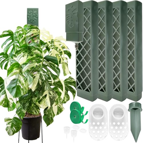 4 Pcs 9 Inch D Shaped Moss Pole with Watering Dripper, Plastic Moss Poles for Climbing Plants, Sturdy Monstera Plant Support, Self Watering Moss Pole Kit for Plants Indoor (1Pack 4Pcs-Green) - size: 1Pack 4Pcs-Green