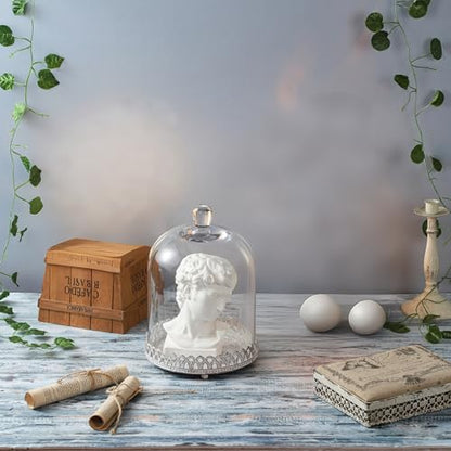 Twakutwku 12" Tall Large Sturdy Handmade Glass Cloche Dome with Metal Base in Shabby White for Plant, Terrarium, Collectibles, Candle. Cloche Glass Dome, Bell Jar Display Case (Shabby White, 12") - color: Shabby White, size: 12"