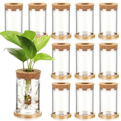 Baderke 12 Pack Propagation Vases for Plants, Classic Style - color: Classic Style