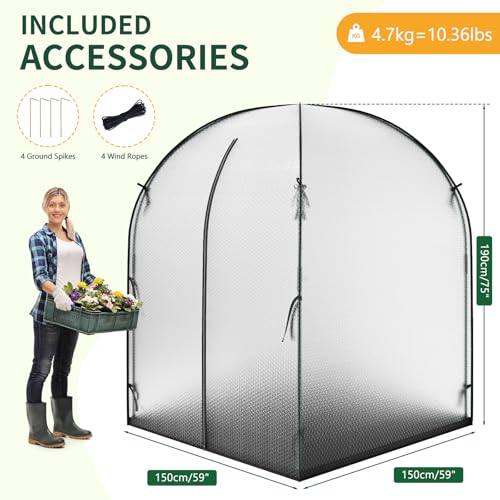 DoCred Greenhouse for Outdoors, 59x59x75 Inch Mini Greenhouses Tent - size: 59x59x75 Inch