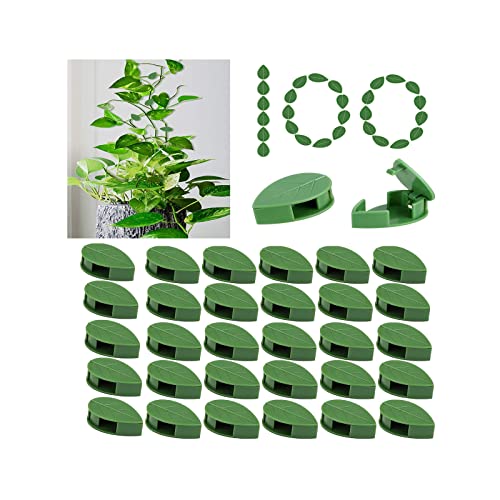 100 Pcs Plant Climbing Wall Fixture Clips Acrylic Self-Adhesive Sticker Plant Fixer Vine Traction Invisible Holder Climbing Plant Green Leaf Vines Hook Fixing Clip Indoor Outdoor Decoration - size: 100PCS