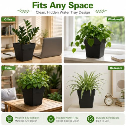 6-Pack 7 Inch Square Planters with Built-in Drainage Tray & Bottom Plug - color: Black