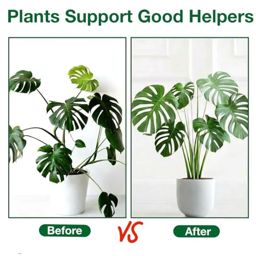 6 Pack Extendable Metal Plant Stakes for Indoor Plants Flowers, Tomatoes