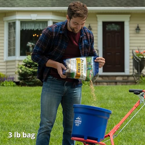 Jonathan Green 10321 Black Beauty Ultra Grass Seed Mix, 3 Pounds - size: 3 lb