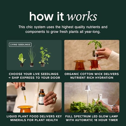 Lettuce Grow Counterstand | Hydroponic Kit with LED Grow Light | Compact - size: with Glow Lamp
