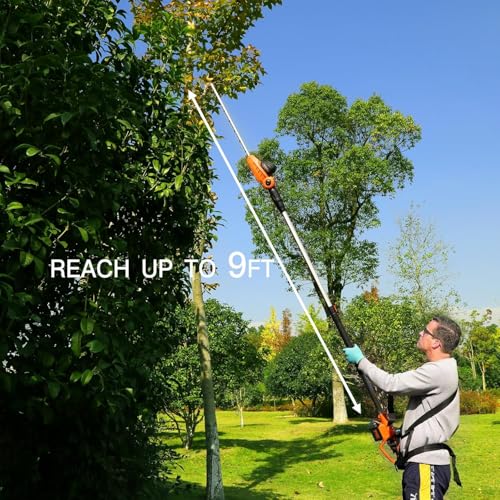GARCARE 20V Cordless Pole Hedge Trimmer with 18" Dual Action Blades
