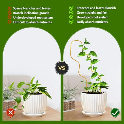 13.4 Inch Small Trellis for Potted Plants, Metal Plant Trellis Indoor - color: Wave-Metal