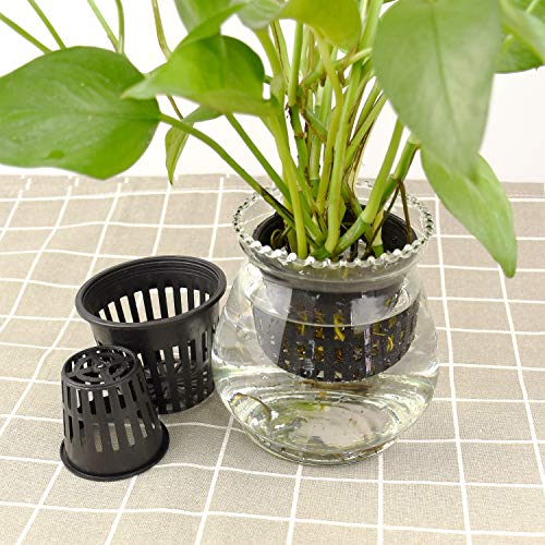 40PCS Net Pots Cups for Hydroponics 3inX20 2inX20