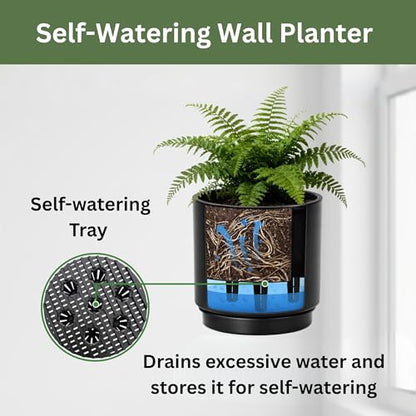 Self-Watering Wall Planters for Indoor Outdoor Plants (5.9 inch) - color: Black