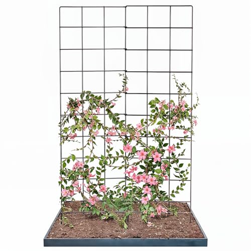 IDZO 2-Panel Folding Trellis, Basic Metal Decoration Trellis for Climbing Plants Outdoor, Tall Metal Plant Trellis with Steel Frame, Panel Trellis Garden Lattice for Vines & Vegetables - color: Basic Shape, style: Decorative