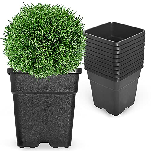 10-Pack 1 Gallon Square Planter Nursery Pots, Flower Plant Container Injection Molded Plastic Nursery Pots Gardening for Indoor Outdoor Vegetables, Succulents, Black - color: Black, size: Square-1Gallon-10pcs