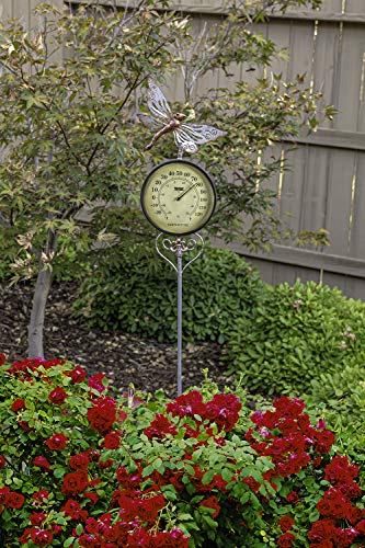 Poolmaster 54581 Outdoor Decoration Garden Stake, Dragonfly, Multi - style: Dragonfly