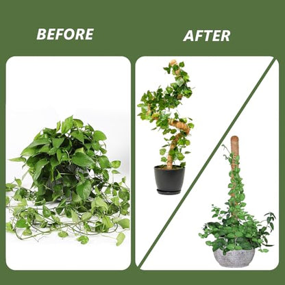 MAFONE 2 Pack 28” Bendable Moss Pole Monstera Plant Support - size: 28inch