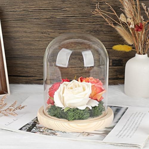 Hipiwe Glass Display Dome Cloche with Wood Base Clear Glass Display Bell Jar Decorative Flower Display Dome for Plants, Figure, Antique Collectibles, 4.5 x 6.1 Inches - size: 4.5 x 6.1 Inch