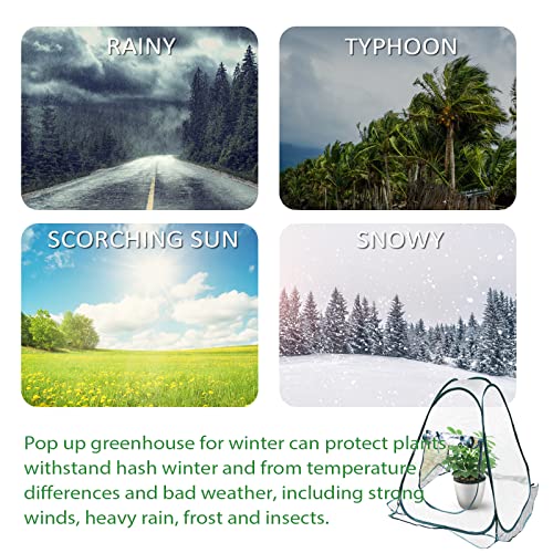 Mini Pop Up Greenhouse; 27"x27"x31"; Indoor/Outdoor; PVC/Steel; Zipper Closure; Green