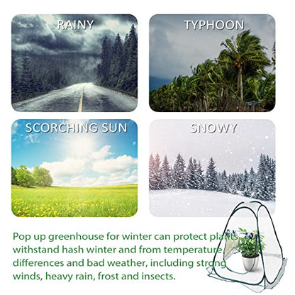 Mini Pop Up Greenhouse; 27"x27"x31"; Indoor/Outdoor; PVC/Steel; Zipper Closure; Green