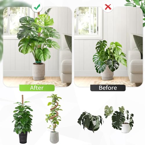 Moss Pole Monstera Plant Support 2 Pack 50 Inch Bendable Monstera Support - size: 50 in (2 Pack)