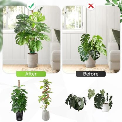 Moss Pole Monstera Plant Support 2 Pack 50 Inch Bendable Monstera Support - size: 50 in (2 Pack)