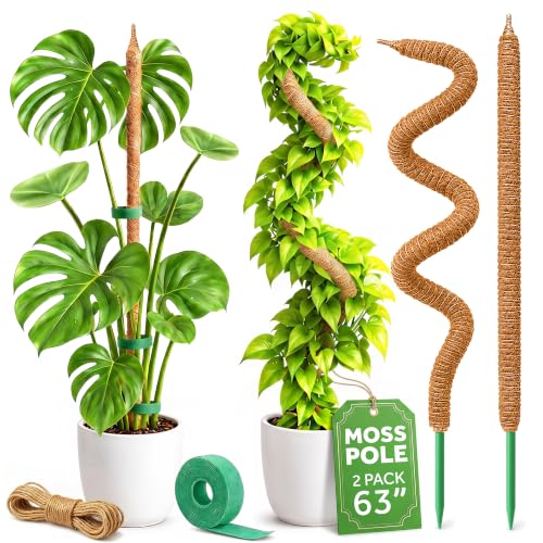 2 Pack 63'' Moss Pole Monstera Plant Support for Climbing Indoor Plants - size: 2-Pack (63 in)