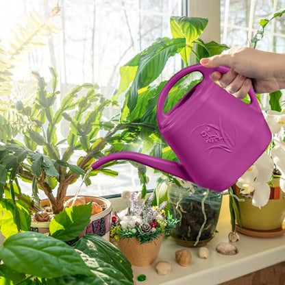 Hand Watering Can - for Home Plant Garden - 1 Gallon - Rose Red - color: Rose Red