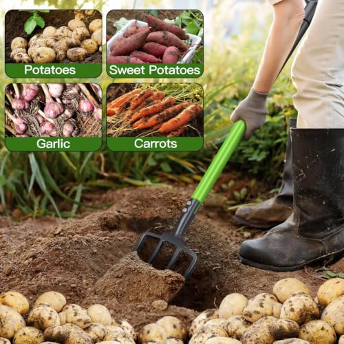 Pitch Fork,4-Tine,45-Inches Garden Fork with Steel D-Handle for Gardening