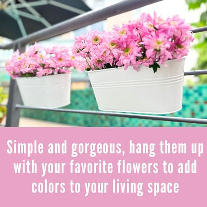 LaLaGreen Metal Rail Planter (11.2 in, 10 Pack) White Strawberry Flower Pot - size: 11.2" (28 cm) x 10 Pack
